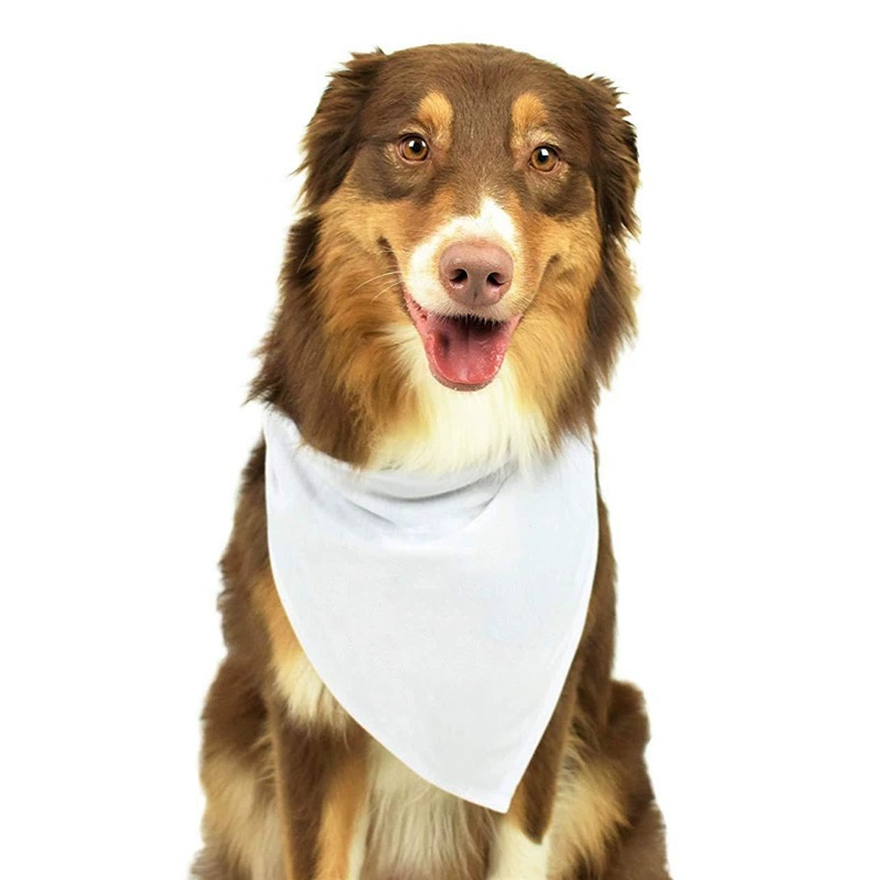 Bandana Blank White - 30 шт. белые полиэстеровые пустые банданы